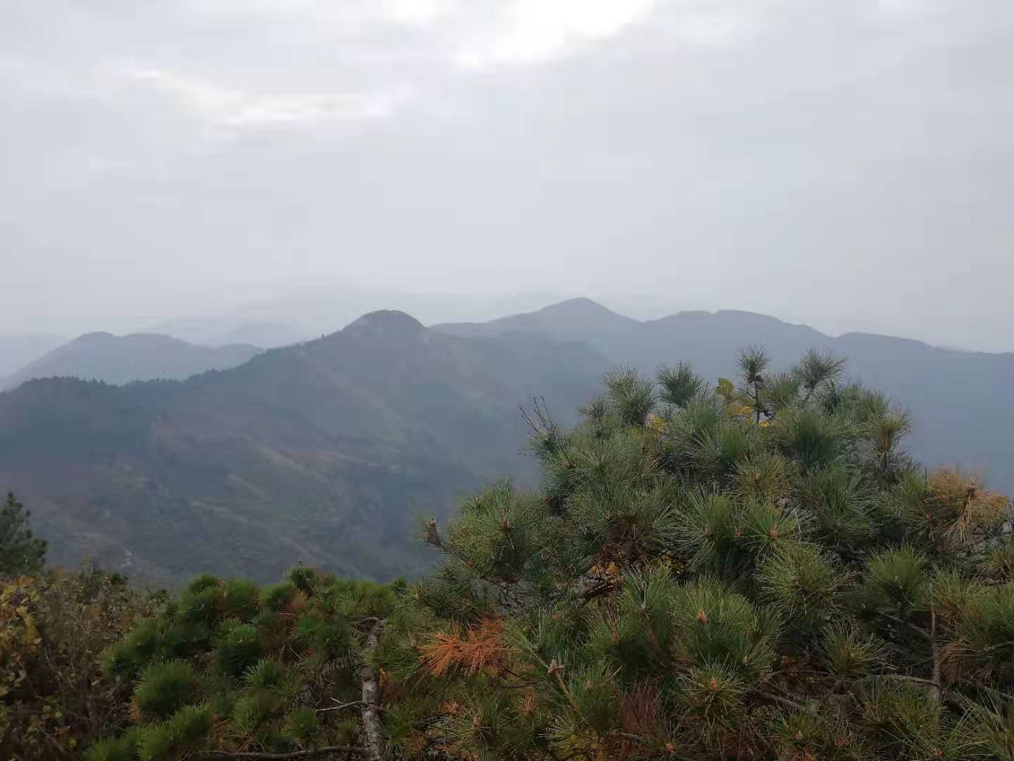 景.jpg 景.jpg